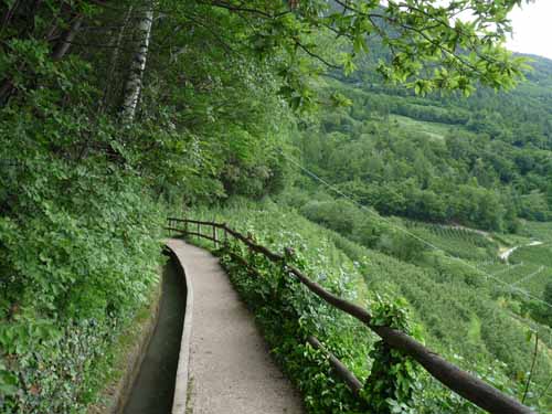 0964-Marlinger-Waalweg