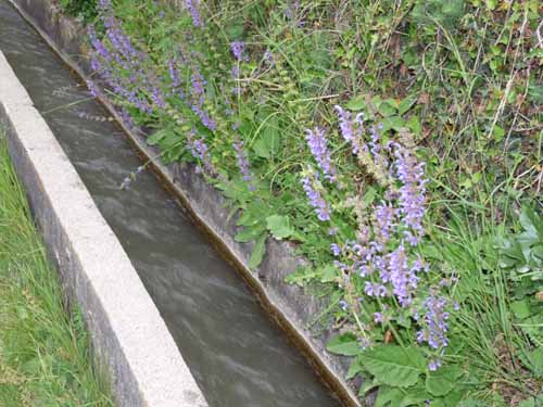 0971-Marlinger-Waalweg