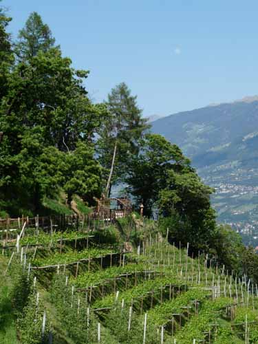 1448-Marlinger-Waalweg