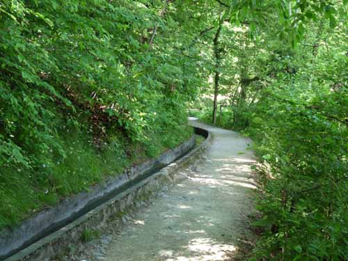 1451-Marlinger-Waalweg