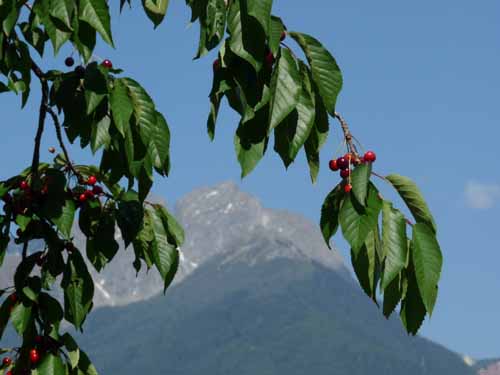 1479-Marlinger-Waalweg