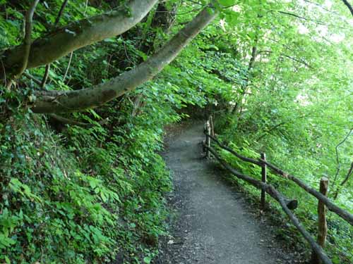 1483-Marlinger-Waalweg