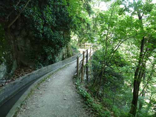 1487-Marlinger-Waalweg