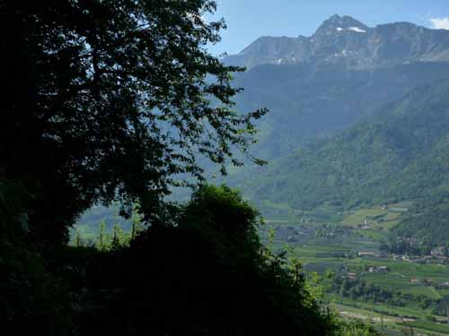 1488-Marlinger-Waalweg