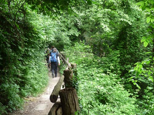 07-Marlinger-Waalweg-008