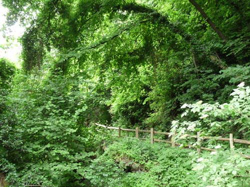 07-Marlinger-Waalweg-014