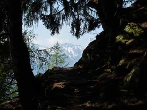 0708-Meraner-Hoehenweg