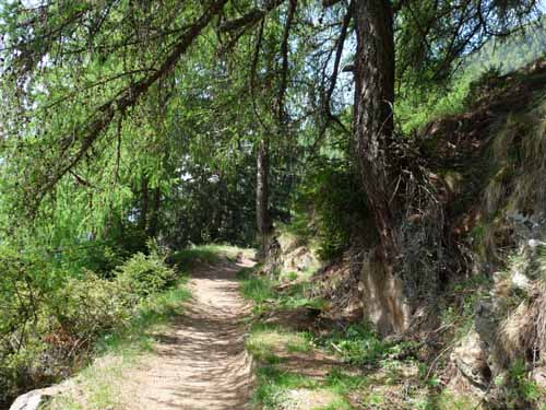 0711-Meraner-Hoehenweg