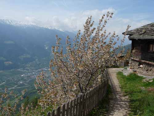 0715-Meraner-Hoehenweg