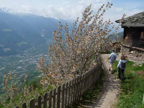 Wandern Meran