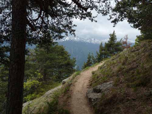 0758-Meraner-Hoehenweg