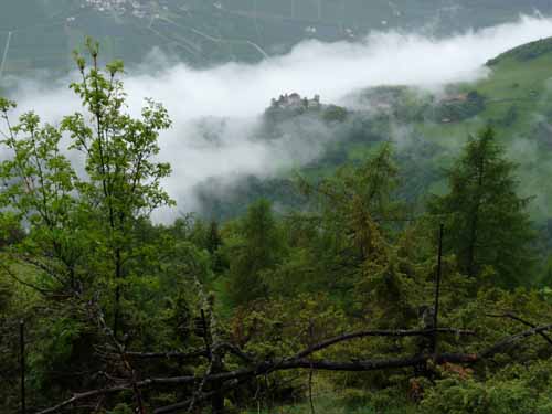 0790-Meraner-Hoehenweg