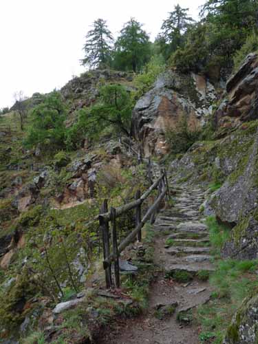 0796-Meraner-Hoehenweg