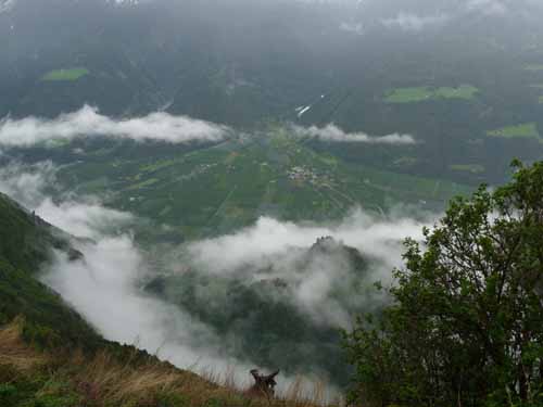 0799-Meraner-Hoehenweg