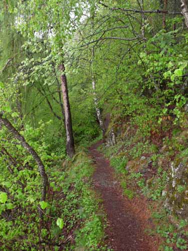 0816-Meraner-Hoehenweg