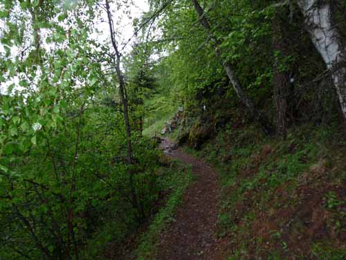 0817-Meraner-Hoehenweg