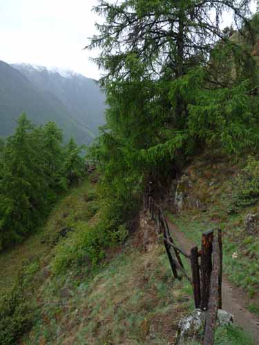 0823-Meraner-Hoehenweg