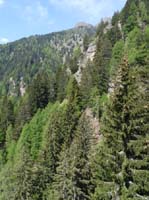 0709-Meraner-Hoehenweg