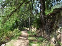 0711-Meraner-Hoehenweg