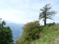 0712-Meraner-Hoehenweg