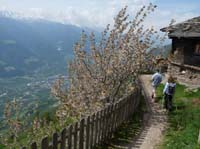 0716-Meraner-Hoehenweg