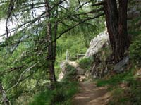 0725-Meraner-Hoehenweg