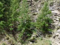 0729-Meraner-Hoehenweg