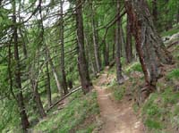 0730-Meraner-Hoehenweg