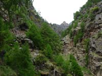 0736-Meraner-Hoehenweg