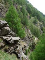 0737-Meraner-Hoehenweg