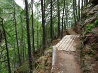 0739-Meraner-Hoehenweg