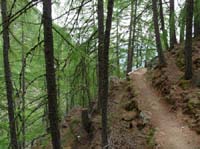 0740-Meraner-Hoehenweg