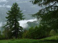 0783-Meraner-Hoehenweg