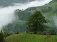 0788-Meraner-Hoehenweg