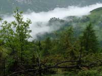 0790-Meraner-Hoehenweg