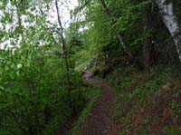 0817-Meraner-Hoehenweg