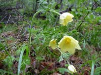 0818-Meraner-Hoehenweg