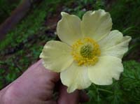 0820-Meraner-Hoehenweg