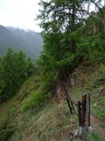 0823-Meraner-Hoehenweg