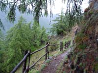 0825-Meraner-Hoehenweg