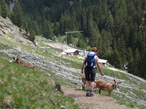 130605_Meraner-Hoehenweg_Meran_066