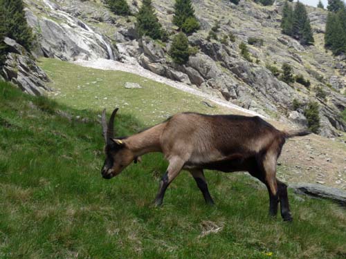 130605_Meraner-Hoehenweg_Meran_068