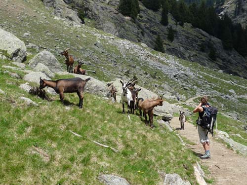 130605_Meraner-Hoehenweg_Meran_079
