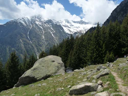 130605_Meraner-Hoehenweg_Meran_107