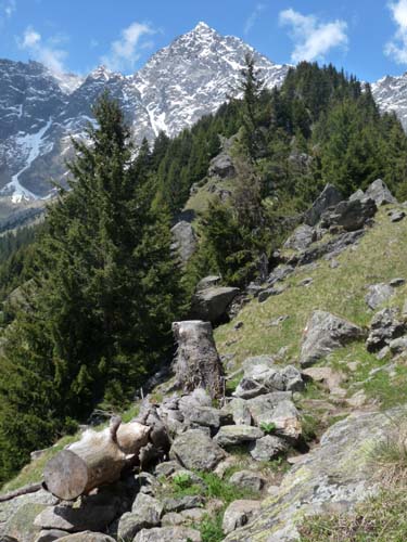 130605_Meraner-Hoehenweg_Meran_117