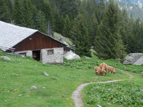 130605_Meraner-Hoehenweg_Meran_119