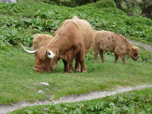 130605_Meraner-Hoehenweg_Meran_121