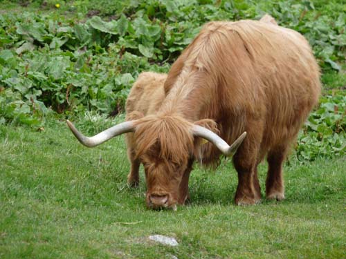 130605_Meraner-Hoehenweg_Meran_122