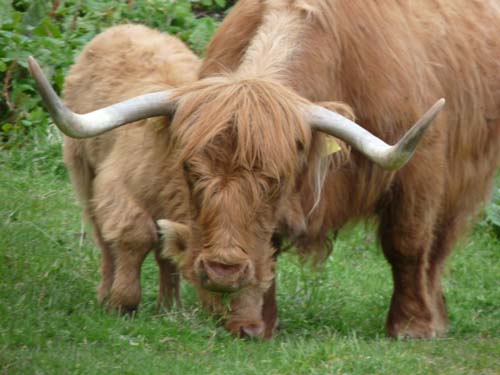 130605_Meraner-Hoehenweg_Meran_123