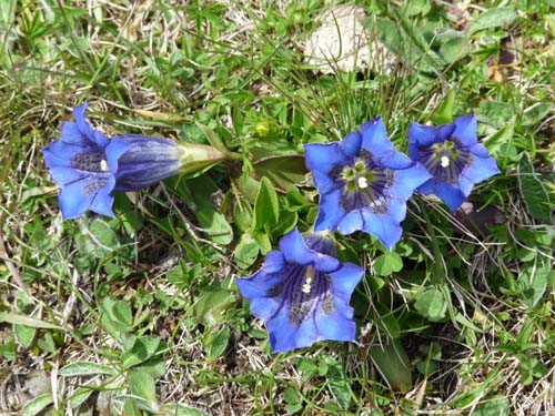 130605_Meraner-Hoehenweg_Meran_128